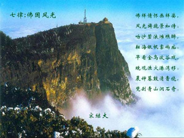 做水煎包,注意调馅儿3诀窍,鲜美抱团,个个酥脆好吃!-200次知识的交汇,点燃思维的火花。